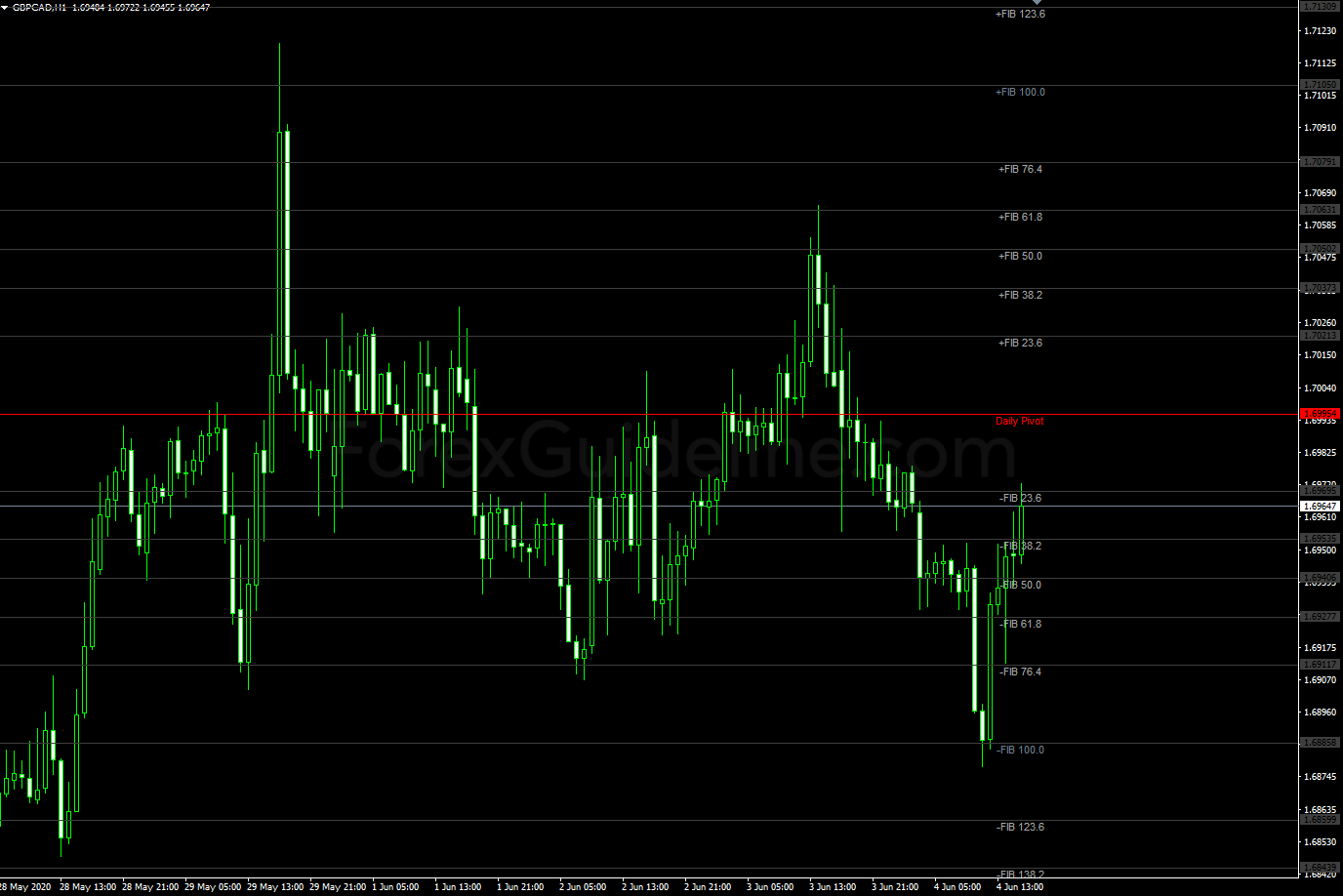 fibopiv daily