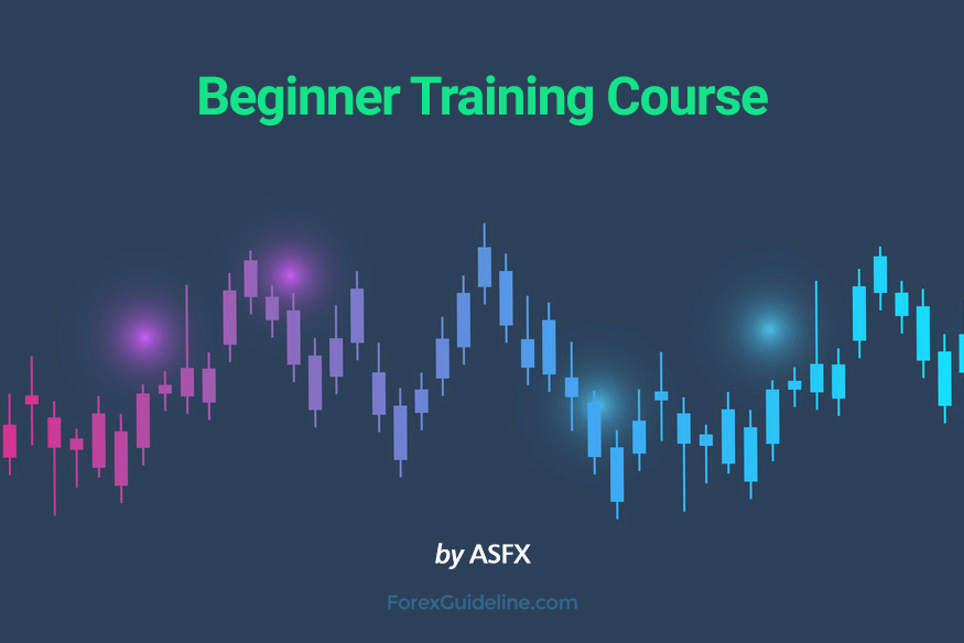 beginner training course