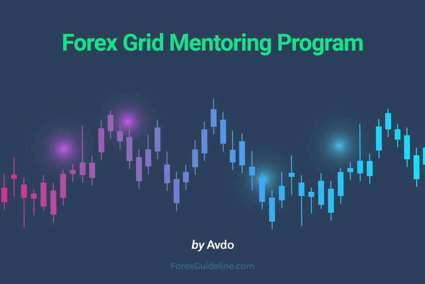 forex grid mentoring program