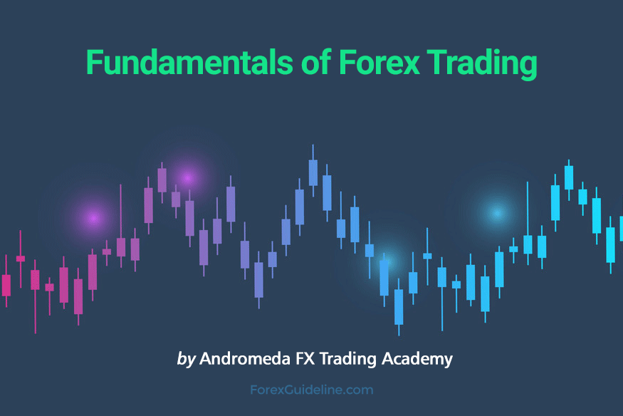 fundamentals of forex trading
